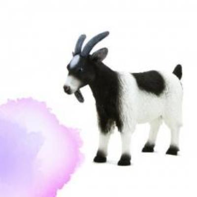 Opakowanie Kozioł ANIMAL PLANET