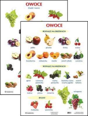 Opakowanie Plansza - Owoce
