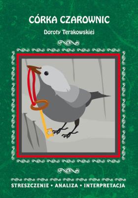 Streszczenia - Córka Czarownic. Autor: Mafutala-Makuch Dominika. SmakLiter.pl Okładka książki Streszczenia - Córka Czarownic