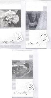 Opakowanie Album - W dniu Ślubu mix