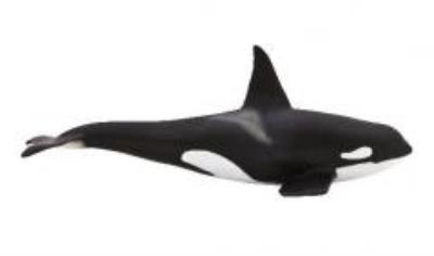 Opakowanie Orka (kolekcja delux) ANIMAL PLANET