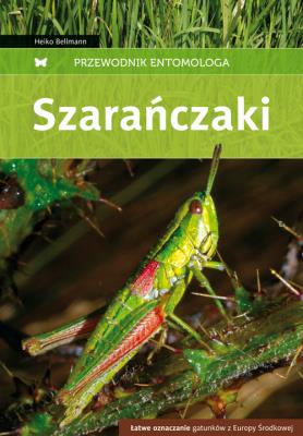 Przewodnik entomologa. Szarańczaki. Autor: Bellmann Heiko. SmakLiter.pl Okładka książki Przewodnik entomologa. Szarańczaki