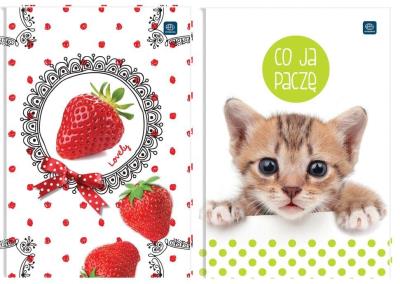 Opakowanie Brulion A7/80K kratka (20szt)