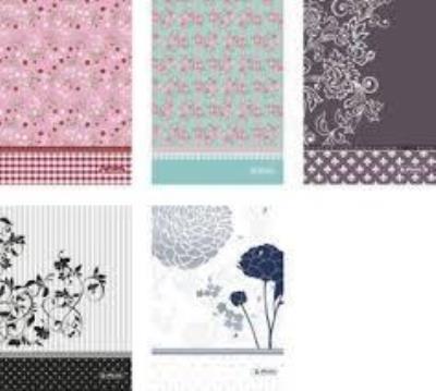 Opakowanie Brulion B5/120K kratka Ladylike (5szt)