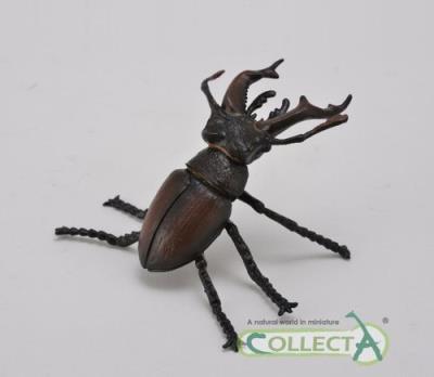 Opakowanie Jelonek rogacz