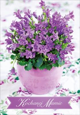 Opakowanie KOCHANEJ MAMIE FIOLETOWE KWIATKI PAN DRAGON