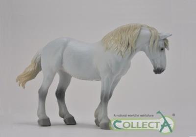 Okładka książki Ogier rasy campolina - ciemny kasztan