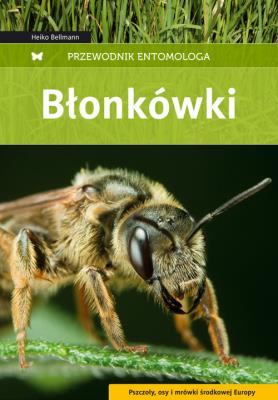 Przewodnik entomologa. Błonkówki. Autor: Bellmann Heiko. SmakLiter.pl Okładka książki Przewodnik entomologa. Błonkówki