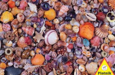Opakowanie Puzzle 1000 - Muszelki PIATNIK