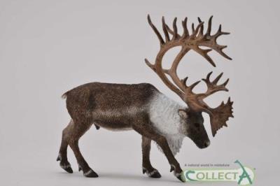 Okładka książki Renifer