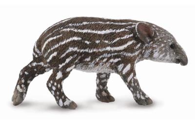 Opakowanie Tapir cielę bairda