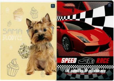 Opakowanie Zeszyt A5/16K kolorowa linia UV mix (20szt)