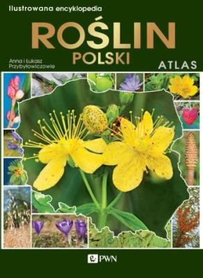 Ilustrowana encyklopedia roślin Polski Atlas. Autor: Anna Przybyłowicz. Łukasz Przybyłowicz. SmakLiter.pl Okładka książki Ilustrowana encyklopedia roślin Polski Atlas
