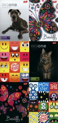 Opakowanie Zeszyt A5 w linie 32 kartki mix 15 sztuk