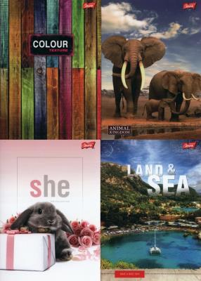 Opakowanie Zeszyt A5 w linie 60 kartek 10 sztuk mix