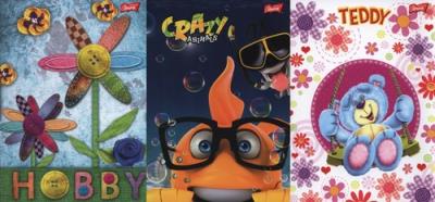 Opakowanie Zeszyt A5 w trzy linie 16 kartek 15 sztuk mix