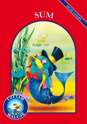 Okładka książki Czytam, maluję. Duże litery - Sum