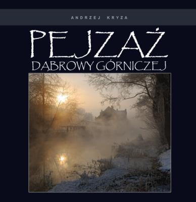 Okładka książki Pejzaż Dąbrowy Górniczej