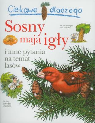 Ciekawe dlaczego - Sosny mają igły. Autor: Gaff Jackie. SmakLiter.pl Okładka książki Ciekawe dlaczego - Sosny mają igły