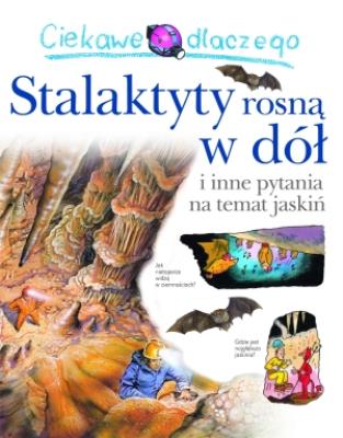 Ciekawe dlaczego - Stalaktyty rosną w dół. Autor: Gaff Jackie. SmakLiter.pl Okładka książki Ciekawe dlaczego - Stalaktyty rosną w dół