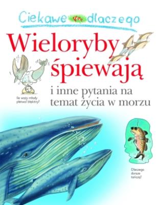 Ciekawe dlaczego - Wieloryby śpiewają. Autor: Harris Caroline. SmakLiter.pl Okładka książki Ciekawe dlaczego - Wieloryby śpiewają