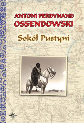 Okładka książki Sokół Pustyni