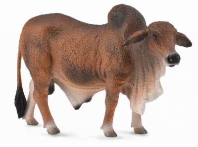 Okładka książki Byk czerwony brahman
