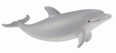 Okładka książki Delfin butlonosy młody