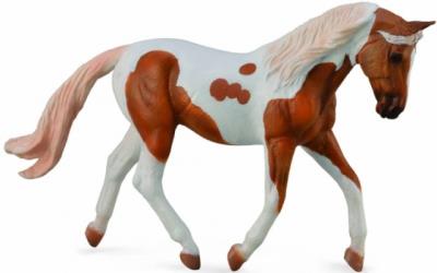 Okładka książki Koń Pinto Mare Palomino