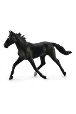 Okładka książki Ogier Standardbred Pacer czarny