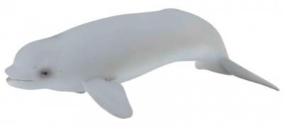 Okładka książki Wieloryb beluga młode