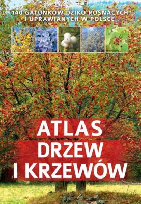 Atlas drzew i krzewów SBM. Autor: Halarewicz Aleksandra. SmakLiter.pl Okładka książki Atlas drzew i krzewów SBM