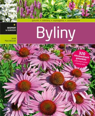 Byliny. Autor: Marcinkowski Jacek. SmakLiter.pl Okładka książki Byliny