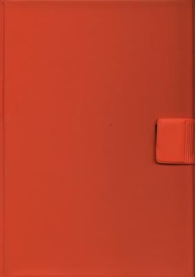 Opakowanie Notes konferencyjny A5 w kratkę 40 kartek pomarańczowy