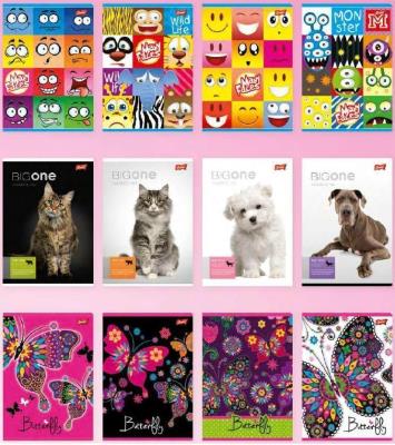 Zeszyt A5/32K linia podwójna MIX dziewczęcy(15szt). Wydawca: UNIPAP. SmakLiter.pl Opakowanie Zeszyt A5/32K linia podwójna MIX dziewczęcy(15szt)