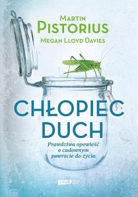 Chłopiec-duch.. Autor: Pistorius Martin, Lloyd Davies Megan. SmakLiter.pl Okładka książki Chłopiec-duch.