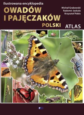 Ilustrowana encyklopedia owadów i pajęczaków. Autor: Michał Grabowski, Radomir Jaskuła, Krzysztof Pabis. SmakLiter.pl Okładka książki Ilustrowana encyklopedia owadów i pajęczaków