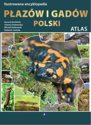 Ilustrowana encyklopedia płazów i gadów Polski. Autor: Gerard Gierliński, Michał Grabowski, Radomir Jaskuła. SmakLiter.pl Okładka książki Ilustrowana encyklopedia płazów i gadów Polski