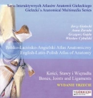 Kości, stawy i więzadła. Autor: Jerzy Stanisław Gielecki, Żurada Anna, Gajda Grzegorz. SmakLiter.pl Okładka książki Kości, stawy i więzadła