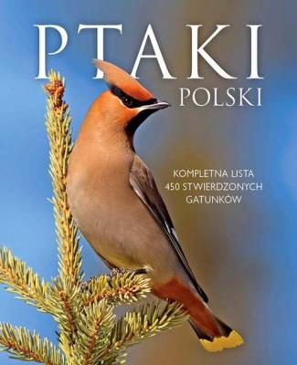 Ptaki Polski w.2015 SBM. Autor: Marchowski Dominik. SmakLiter.pl Okładka książki Ptaki Polski w.2015 SBM