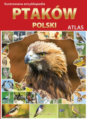 Okładka książki Ilustrowana encyklopedia ptaków Polski. Atlas