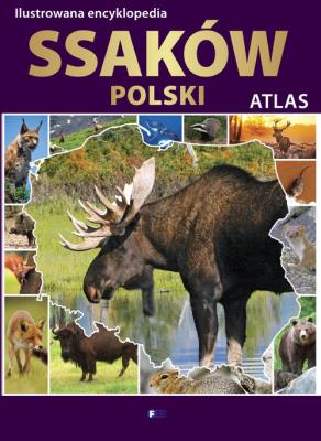 Ilustrowana encyklopedia ssaków Polski. Autor:   Praca zbiorowa. SmakLiter.pl Okładka książki Ilustrowana encyklopedia ssaków Polski