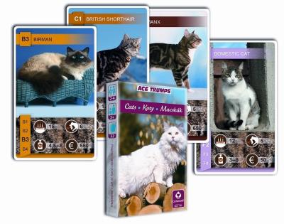 Kwartet - Koty. Karty do gry Cartamundi. Wydawca: Cartamundi. SmakLiter.pl Opakowanie Kwartet - Koty. Karty do gry Cartamundi