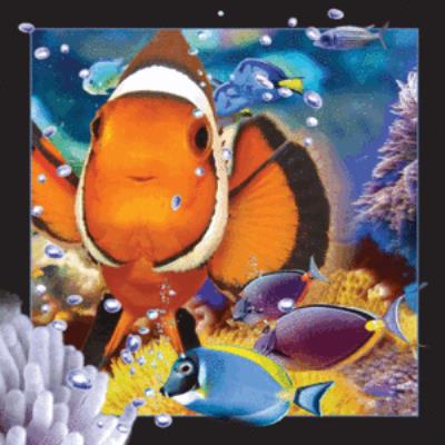 Opakowanie Magnes 3D Błazenki