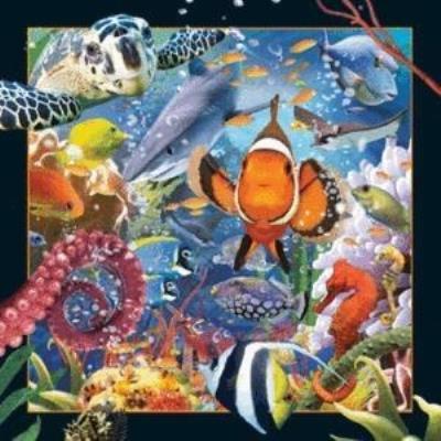 Opakowanie Magnes 3D Ocean