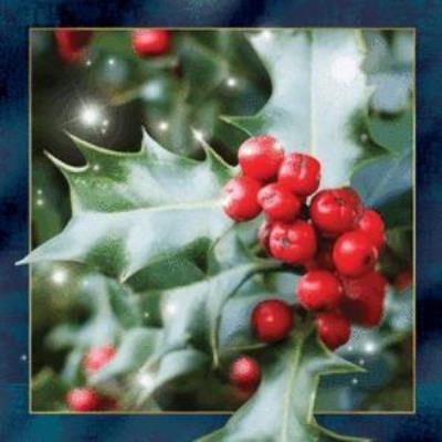 Opakowanie Magnes 3D Ostrokrzew