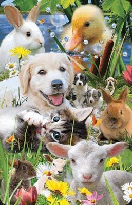 Opakowanie Mini kartka 3D Farma