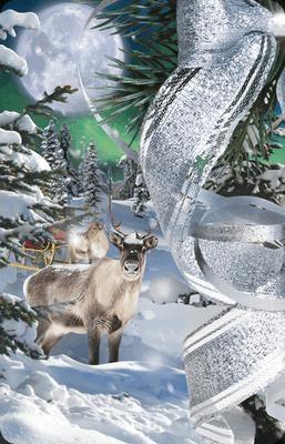 Opakowanie Mini kartka 3D Kokarda