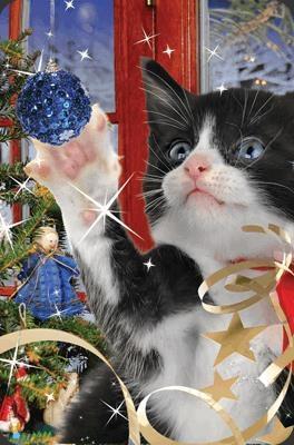 Opakowanie Mini kartka 3D Świąteczny Kot