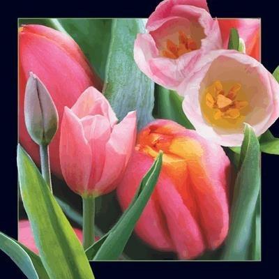 Opakowanie Pocztówka 3D Tulipan